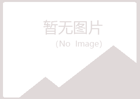 山西雅山化学有限公司